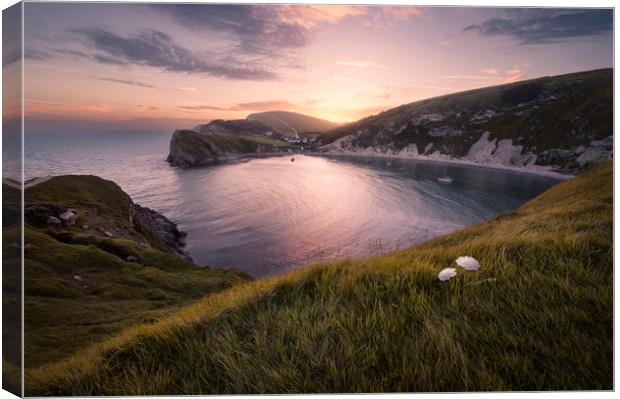 Last Light at Lulworth Canvas Print by Chris Frost