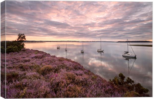 Shipstal Point Canvas Print by Chris Frost