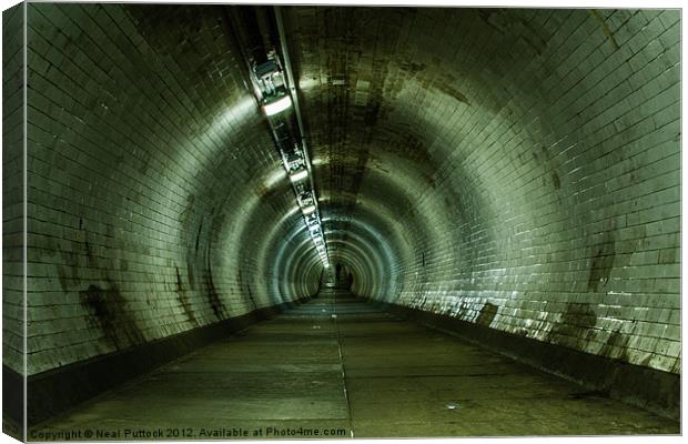 Tunnel Head Canvas Print by Neal P