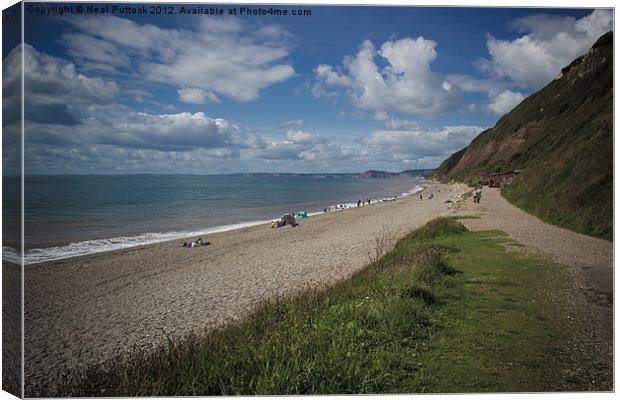 Branscombe Beach Canvas Print by Neal P
