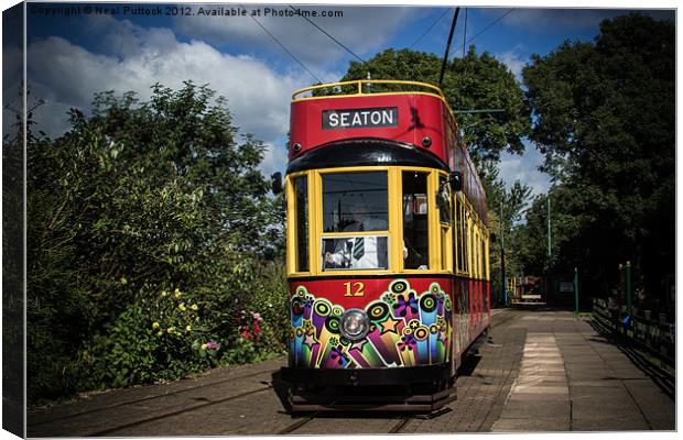 Seaton Tram Canvas Print by Neal P