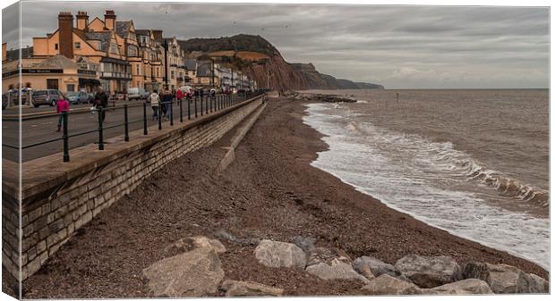 Sidmouth Canvas Print by Neal P