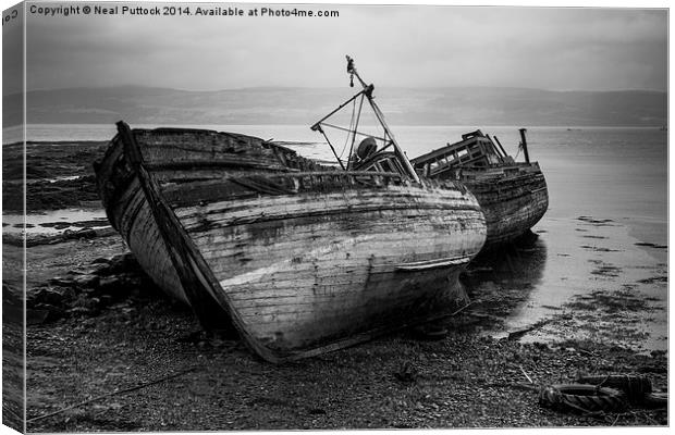  Left to Rot Canvas Print by Neal P