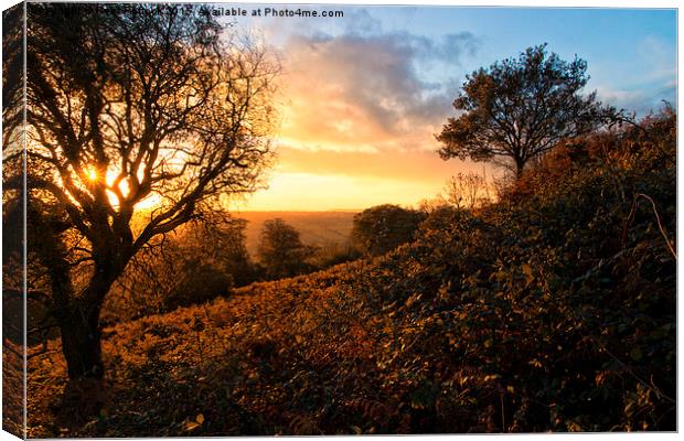 Morning Sun Canvas Print by Neal P