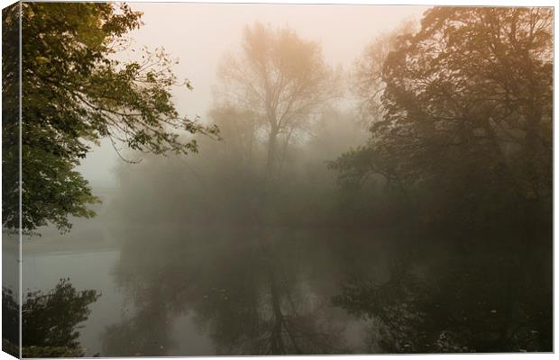  Mist in the Trees Canvas Print by Neal P
