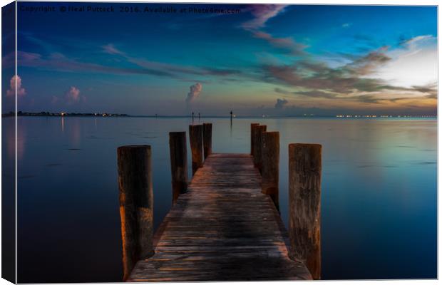 Sunrise at Tampa Bay Canvas Print by Neal P