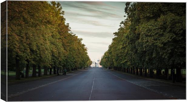 Tree Lined Avenue Canvas Print by Neal P