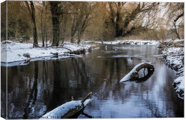 The River Cray Canvas Print by Neal P