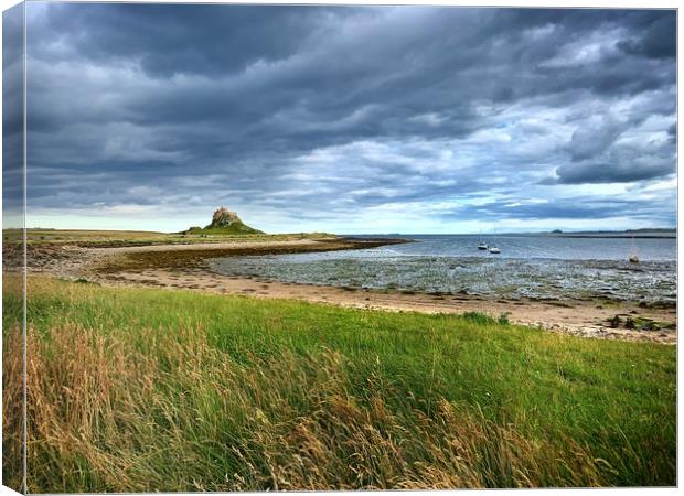 Lindisfarne coast Canvas Print by Rachael Hood