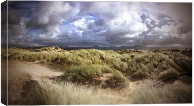Stormy sands Canvas Print by Rachael Hood