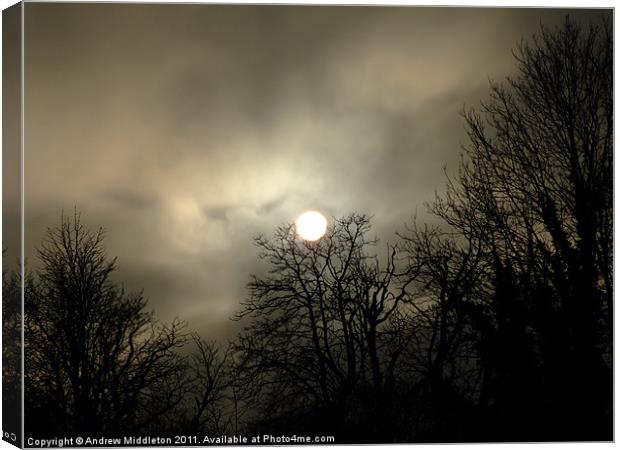 Moody Sun Canvas Print by Andrew Middleton
