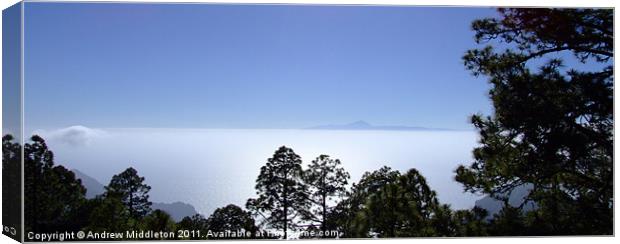 View Of Tenerife Canvas Print by Andrew Middleton