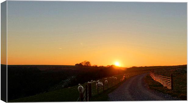 Sunset At Coombe Gibbit Canvas Print by Andrew Middleton