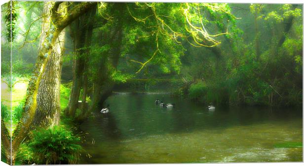 Misty In Clatford Canvas Print by Andrew Middleton