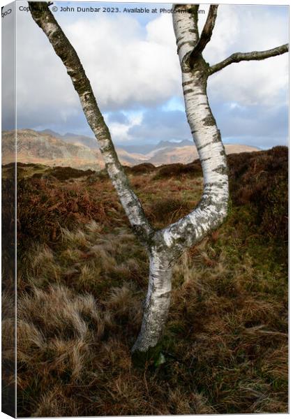 Silver on the Fell Canvas Print by John Dunbar