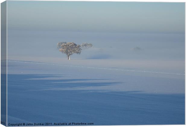 Trees in the Mist Canvas Print by John Dunbar