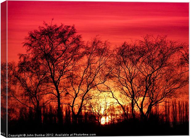 Trees in the Sunset Canvas Print by John Dunbar