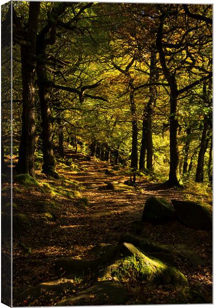 Padley Gorge Trail Canvas Print by John Dunbar