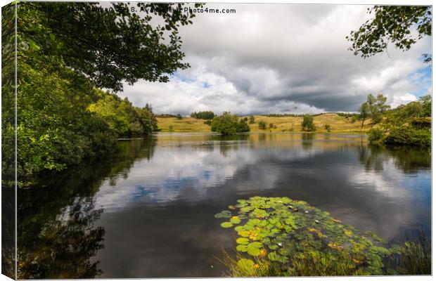 Moss Eccles Tarn Canvas Print by John Dunbar