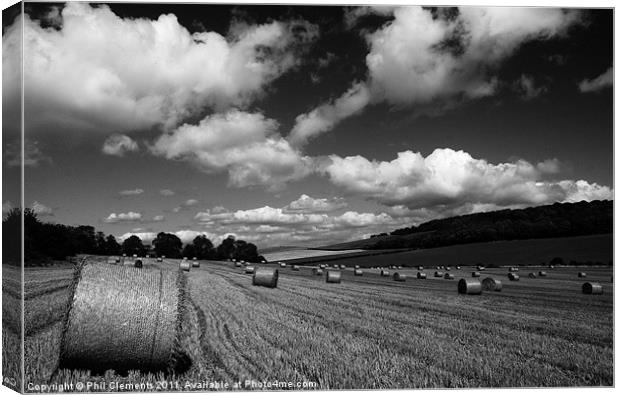 Sussex Harvest Field Canvas Print by Phil Clements