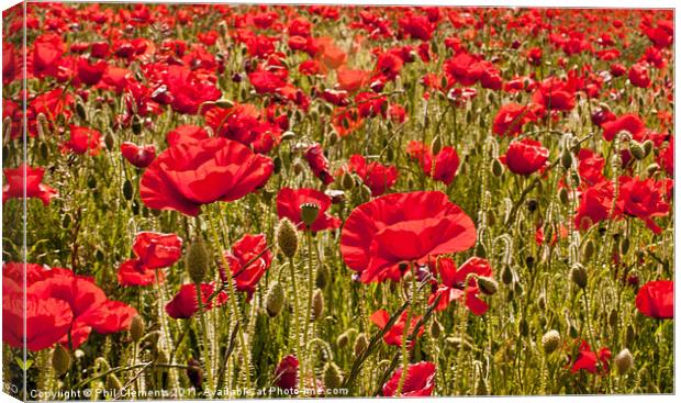 Sussex Poppy Field Canvas Print by Phil Clements