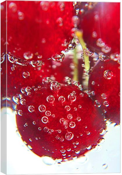 Cherryade Canvas Print by Phil Clements