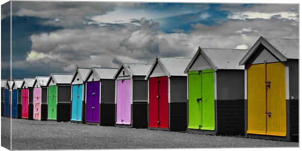 Hove Beach Huts Canvas Print by Phil Clements