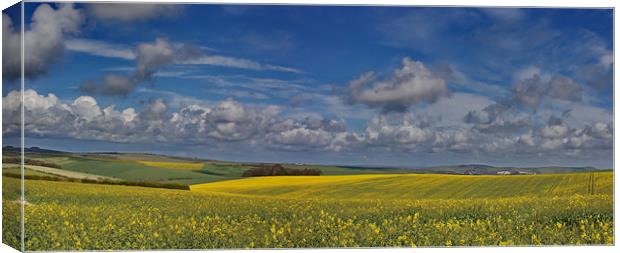 Falmer Fields Panorama Canvas Print by Phil Clements