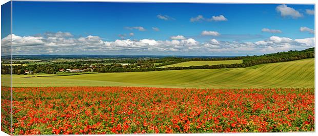 Sussex Poppy Panorama Canvas Print by Phil Clements