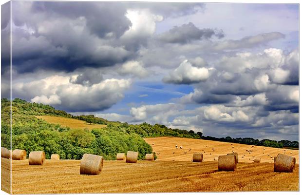 Hay Bales Canvas Print by Phil Clements