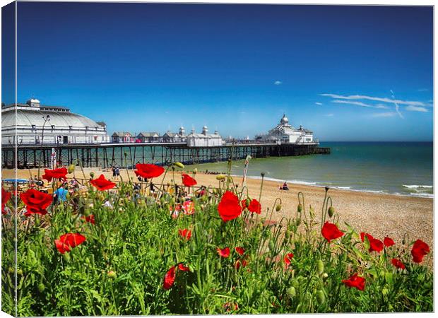 Eastbourne Pier and poppies Canvas Print by Phil Clements