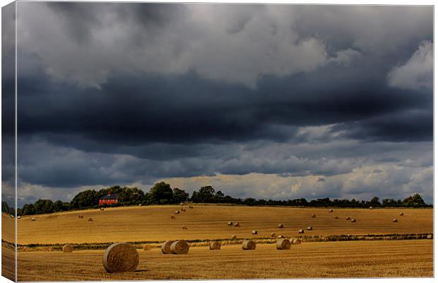  Harvest Time, Glynde Canvas Print by Phil Clements