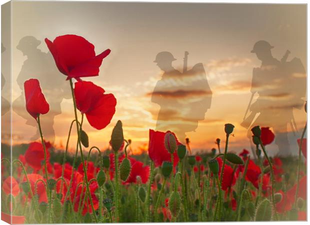 Remembrance Canvas Print by Phil Clements