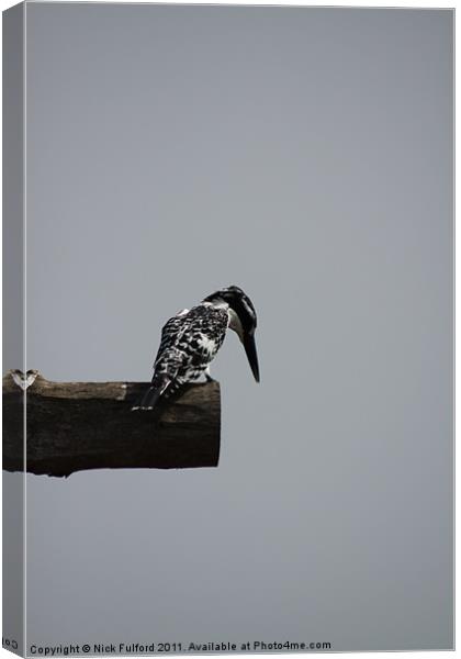 Kingfisher on the lookout Canvas Print by Nick Fulford