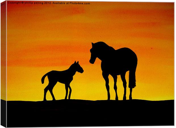 Wild Horses Canvas Print by camera man