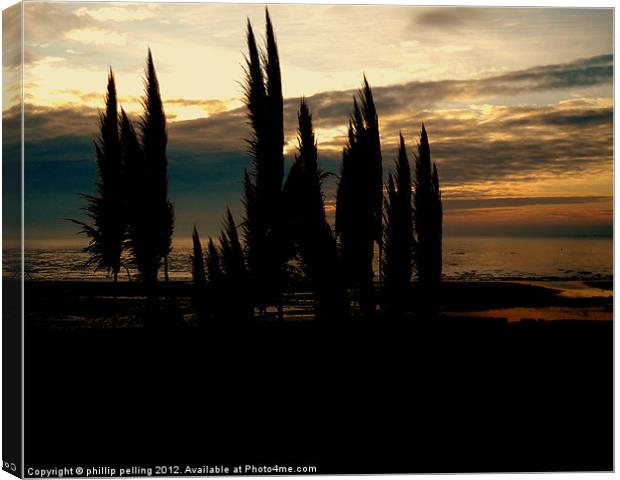 Pampas Dawn. Canvas Print by camera man