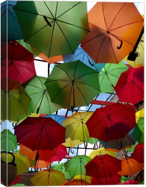 Umbrellas Canvas Print by camera man
