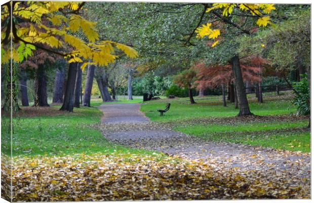 Leaves in the park Canvas Print by camera man