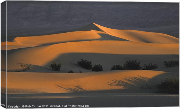 Death Valley Light Canvas Print by Rob Turner