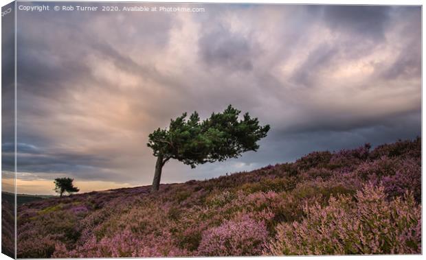 Summer Evening in the Peak District. Canvas Print by Rob Turner
