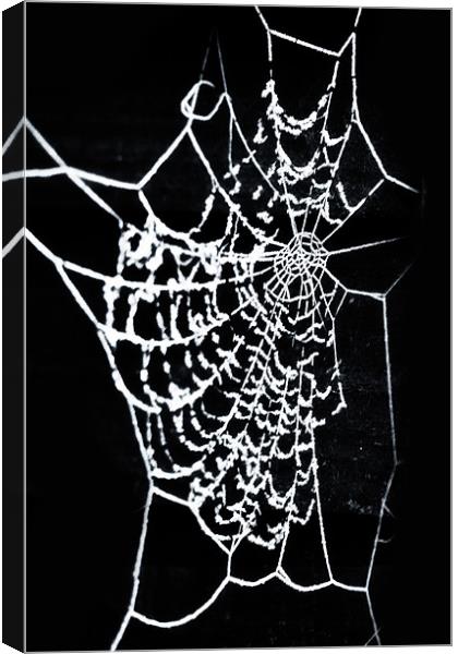 Cobwebs Canvas Print by paul cowles
