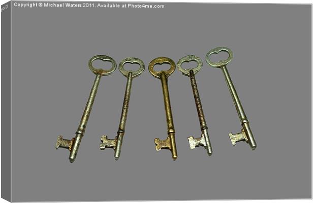 Skeleton Keys Canvas Print by Michael Waters Photography