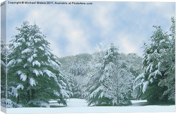 Winter Wonderland in the South Canvas Print by Michael Waters Photography