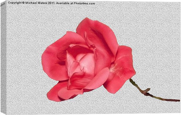Roses are Red Canvas Print by Michael Waters Photography