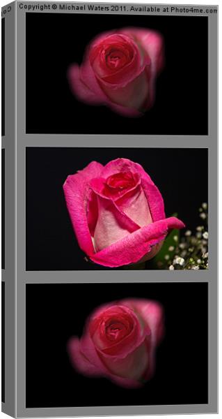 3 Little Roses Canvas Print by Michael Waters Photography