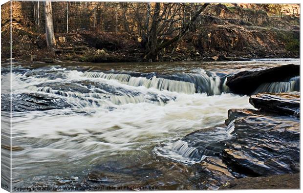 River Mill Canvas Print by Michael Waters Photography