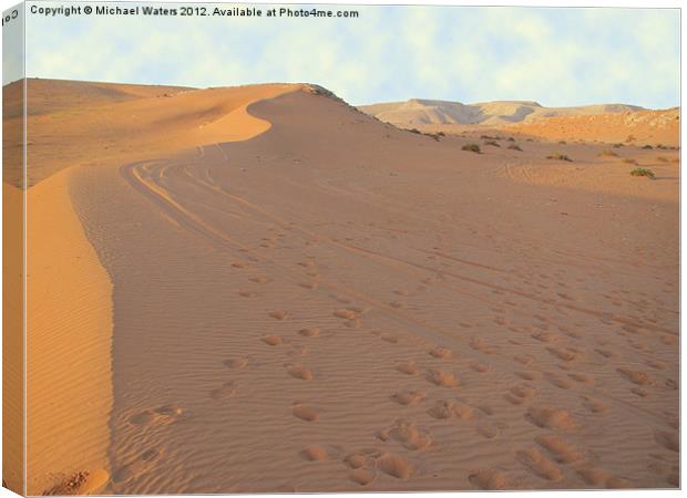 Footprints in the Sand Canvas Print by Michael Waters Photography