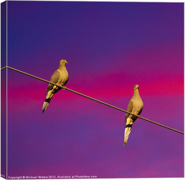 Birds on a Wire Canvas Print by Michael Waters Photography