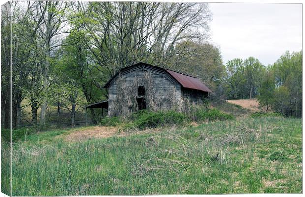 Country Barn Canvas Print by Michael Waters Photography