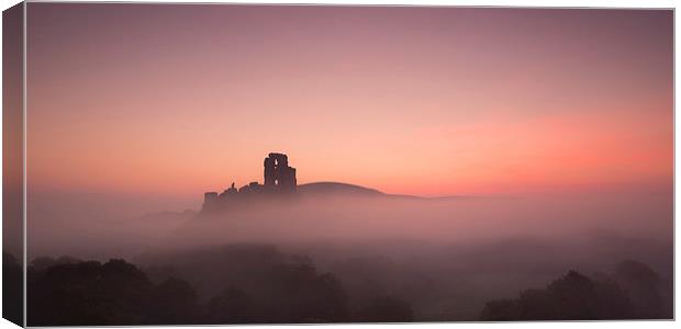 Glowing at Sunrise  Canvas Print by Philip Male